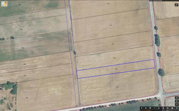 Terreno en o Padriño-Sandiás s/n