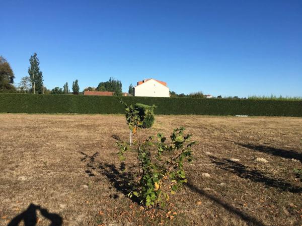 Terreno en camino Obouzo, 1