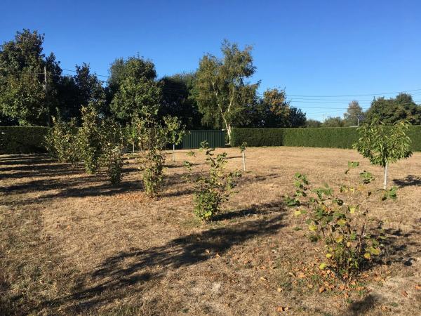 Terreno en camino Obouzo, 1