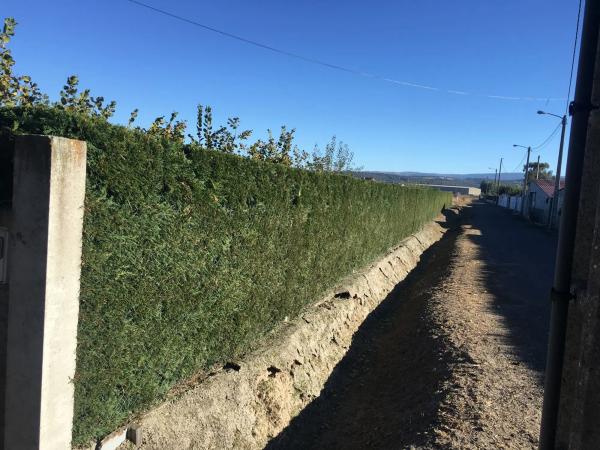 Terreno en camino Obouzo, 1