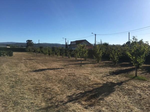 Terreno en camino Obouzo, 1