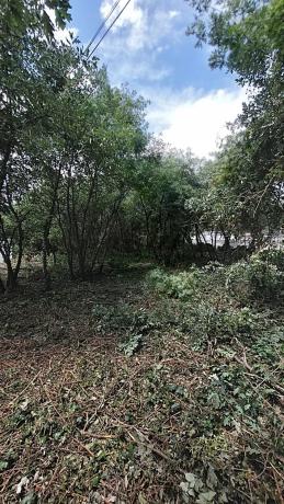 Terreno en alto Porto, 35