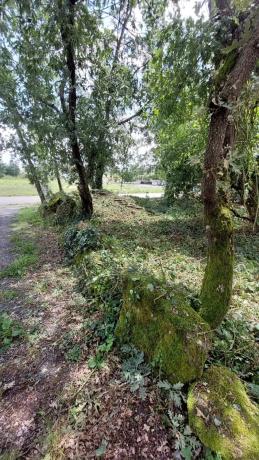 Terreno en alto Porto, 35