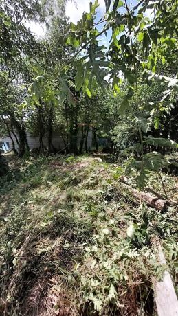 Terreno en alto Porto, 35