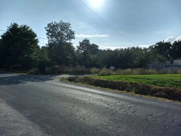 Terreno en alto Porto, 35