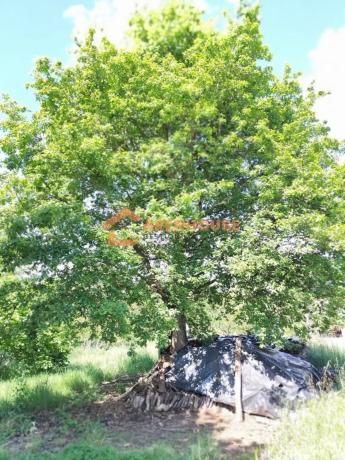 Terreno en Xunqueira de Ambia