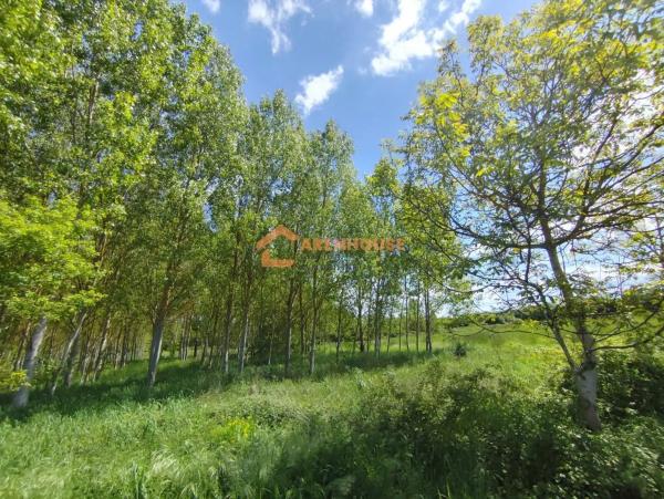 Terreno en Xunqueira de Ambia