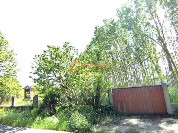 Terreno en Xunqueira de Ambia