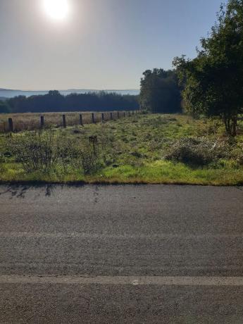 Terreno en busteliño, km 10