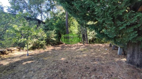 Terreno en Pereiro de Aguiar