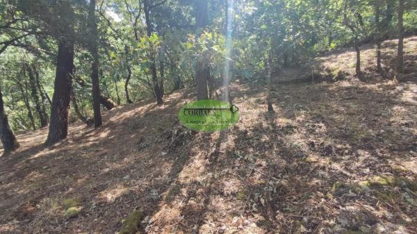 Terreno en Pereiro de Aguiar