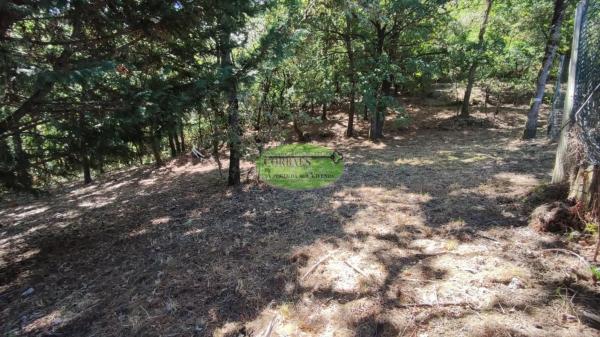 Terreno en Pereiro de Aguiar