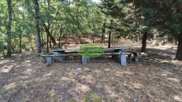 Terreno en Pereiro de Aguiar