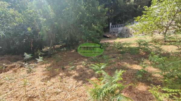 Terreno en Pereiro de Aguiar