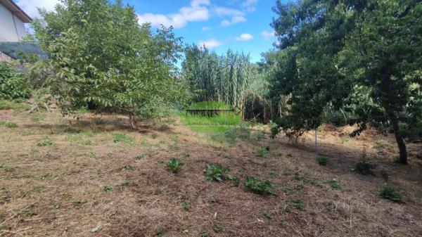 Terreno en Pereiro de Aguiar