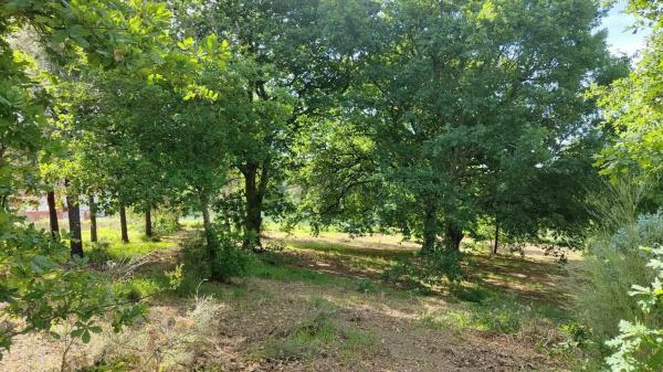 Terreno en Vilamarin