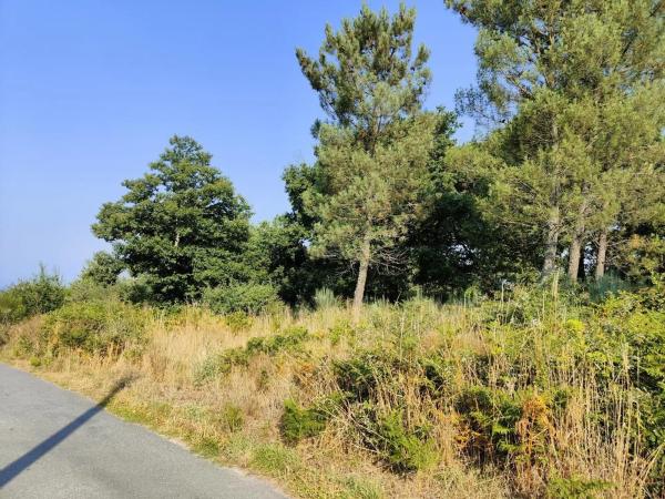 Terreno en Vilamarin