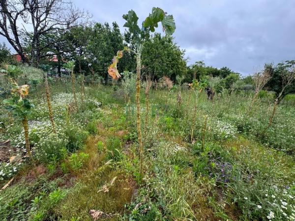 Terreno en Vilamarin