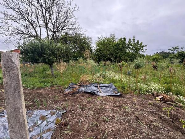 Terreno en Vilamarin