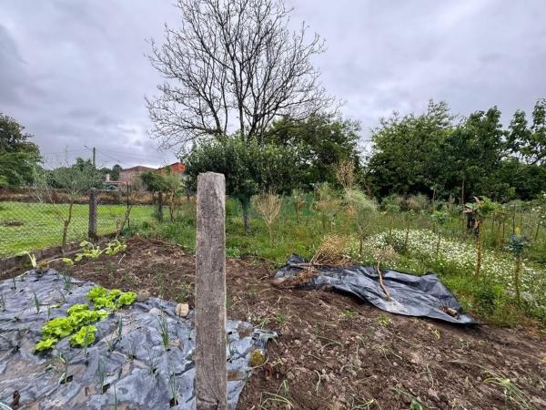 Terreno en Vilamarin