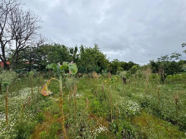 Terreno en Vilamarin