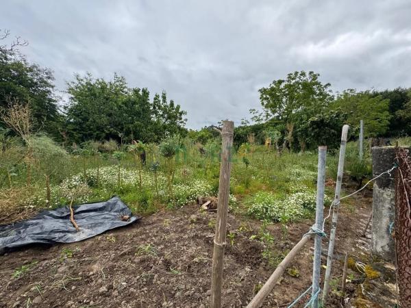 Terreno en Vilamarin