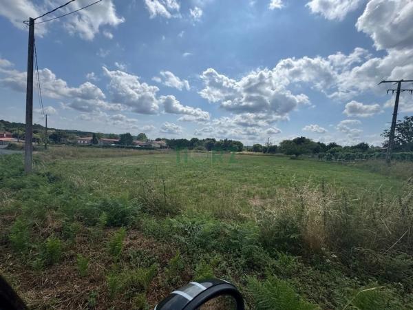 Terreno en Vilamarin