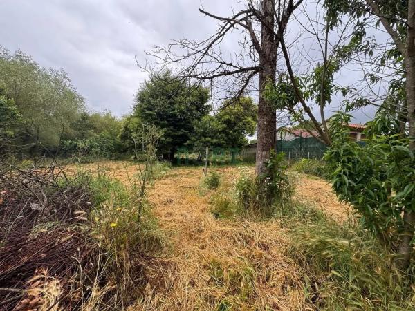 Terreno en Vilamarin