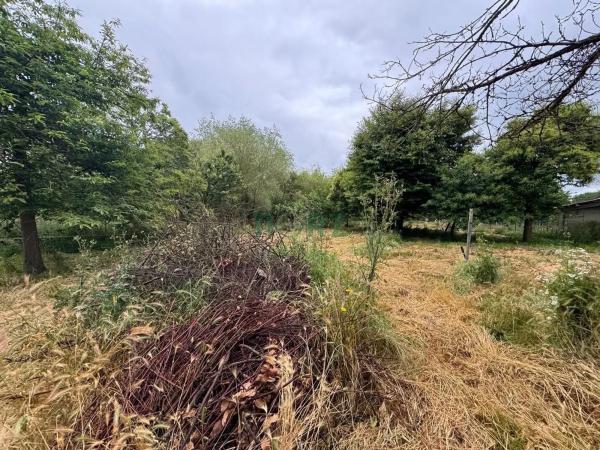 Terreno en Vilamarin