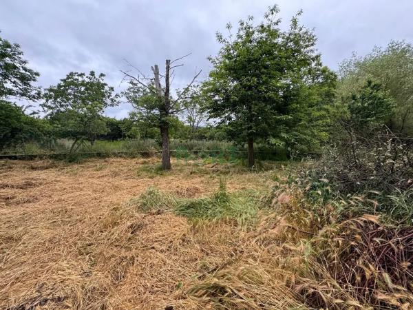 Terreno en Vilamarin