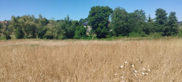 Terreno en camino de Loiro, 125