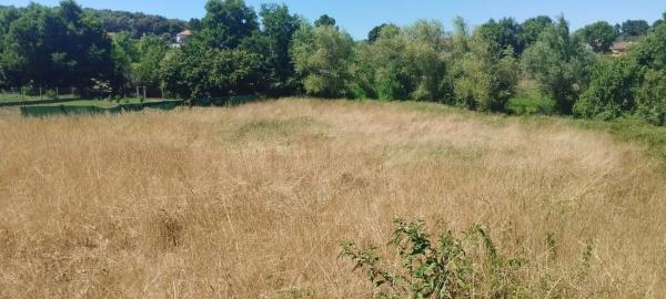 Terreno en camino de Loiro, 125
