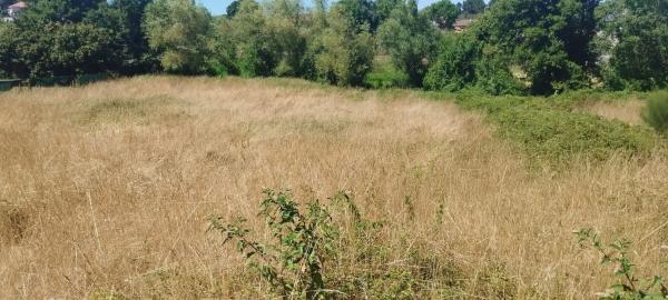 Terreno en camino de Loiro, 125