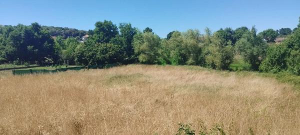 Terreno en camino de Loiro, 125