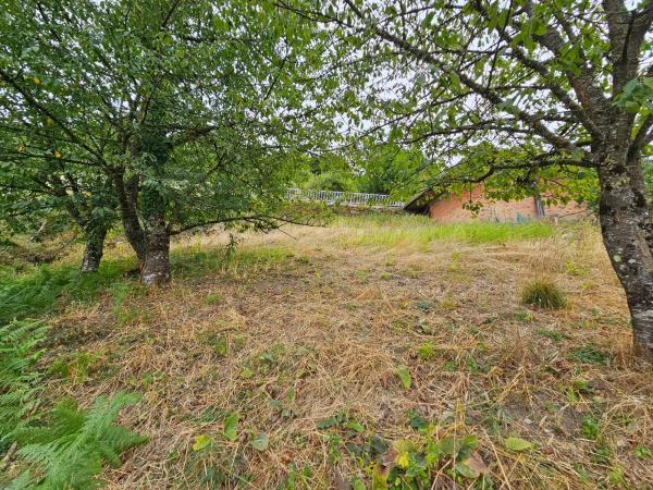 Terreno en Santo Estevo de Ribas de Sil, 35