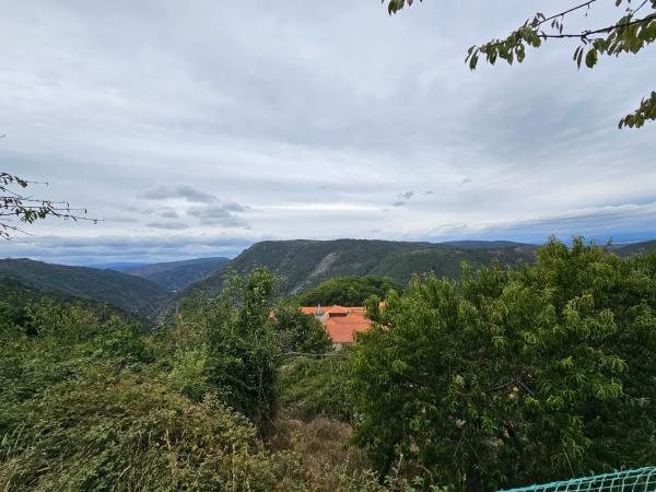 Terreno en Santo Estevo de Ribas de Sil, 35