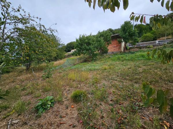 Terreno en Santo Estevo de Ribas de Sil, 35