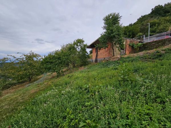Terreno en Santo Estevo de Ribas de Sil, 35