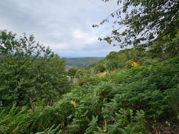 Terreno en Santo Estevo de Ribas de Sil, 35
