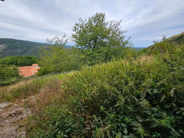 Terreno en Santo Estevo de Ribas de Sil, 35
