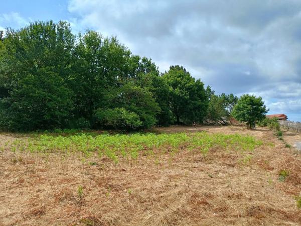 Terreno en Cima de Vila s/n