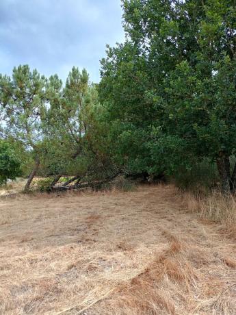 Terreno en Cima de Vila s/n