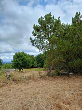 Terreno en Cima de Vila s/n