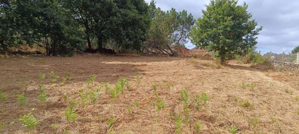 Terreno en Cima de Vila s/n