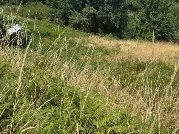 Terreno en Pereiro de Aguiar