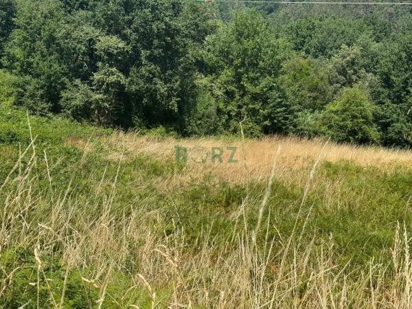 Terreno en Pereiro de Aguiar