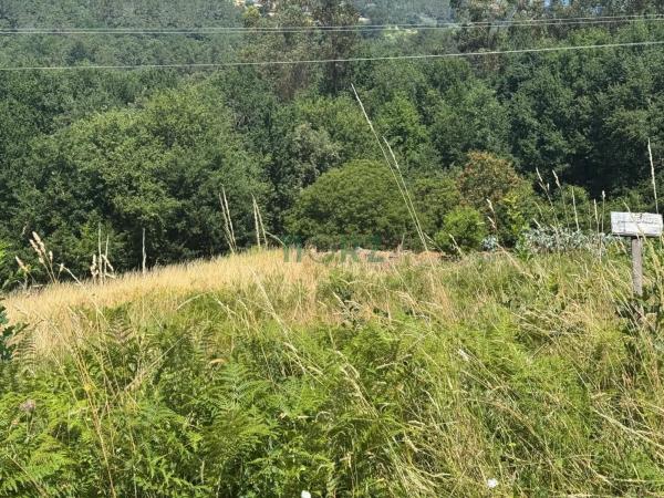 Terreno en Pereiro de Aguiar