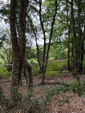 Terreno en calle polígono pereiro Aguiar s/n