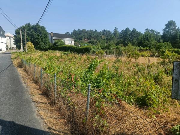 Terreno en calle da campina, 3