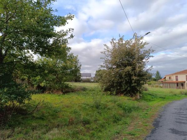 Terreno en a Venda, 25